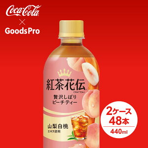 gԓ` NteB[ ґ򂵂ڂs[`eB[ PET 440ml 2P[X 48{