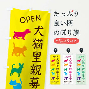 ylR|X360z ̂ڂ eWEEL̂ڂ F642 ybgE ObYv ył܂+1017~z