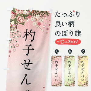 yS360~z ̂ڂ ێqׂEaَq̂ڂ FC48 ݁E ObYv