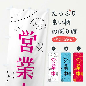 ylR|X360z ̂ڂ cƒELÊڂ F894 ObYv ył܂+1017~z