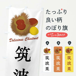 yS360~z ̂ڂ }gIEIEîڂ FLCW ʕ ObYv