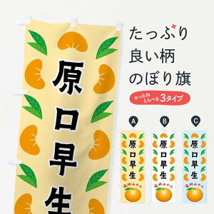 yS360~z ̂ڂ EB݂̂ڂ FLWF ݂Ek ObYv