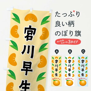 yS360~z ̂ڂ {쑁EB݂̂ڂ FLW5 ݂Ek ObYv