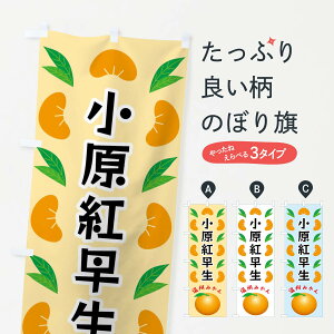 yS360~z ̂ڂ gEB݂̂ڂ FLWW ݂Ek ObYv ył܂+1017~z