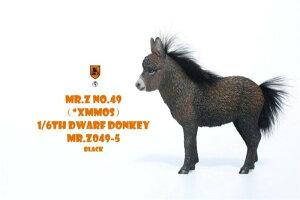 Mr.Z 1/6 ~j`AhL[ 6  u tBMA 5
