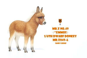 Mr.Z 1/6 ~j`AhL[ 6  u tBMA 6