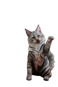 Mr.Z 1/6 CN[ MRZ045 5 J[Iׂ܂  u tBMA 001