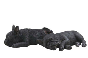 Mr.Z@1/6 t`EuhbO 2Zbg 5  u tBMA 004