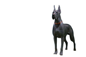 Mr.Z 1/6 W[} O[gf 6  u tBMA@J[Iׂ܂ 003