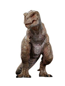 w-dragon 1/20 eBmTEX X^`[ zCg ւpwbht