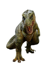 w-dragon 1/20 eBmTEX X^`[ O[ ւpwbht