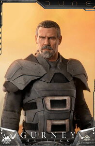 AUG TOYS 1/6 f[ ̘f K[j[EnbN DL002