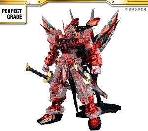 o_C CO PG 1/60 AXgCbht[bLt[/Oo[WK_