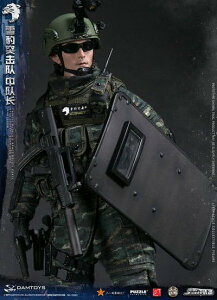 �yDAMTOYS�z78053 1/6 CHINESE PEOPLE'S ARMED POLICE �����l�������x�@�������x���� ��^�ˌ��� ������ 1/6�t�B�M���A
