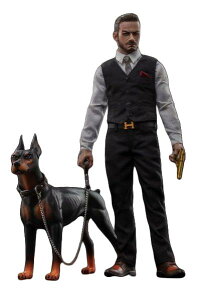 DAMTOYS 1/6 MOX^[YELO_ Xy[h A hfCBbhh ANVtBMA GK022s