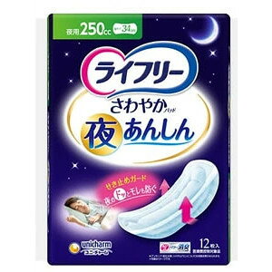 Ct[₩pbh邠񂵂250cc 12yjE`[zp ARpbh pނ