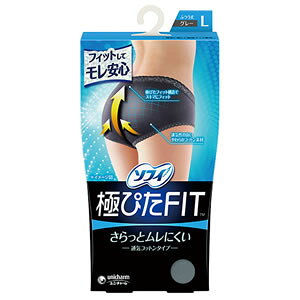 ���j�E�`���[���\�t�B �ɂ҂�FIT �ʋC�R�b�g���^�C�v �O���[�@L�T�C�Y