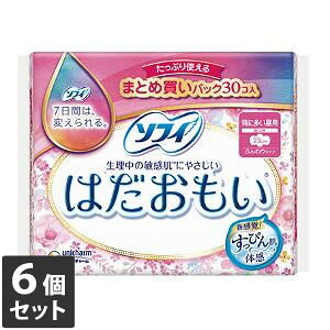 yȂVRbgEFbgv[gz6Zbg jE`[ \tB ͂ ɑp H 23cm 30R