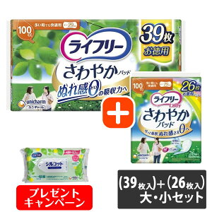 yȂVRbgEFbgv[gzjE`[ Ct[ ₩pbh łKp 100cc @EZbgi@i26j{i39j