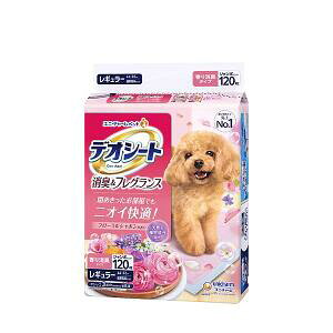 4Zbg@jE`[@fIV[gL&tOXt[V{̍背M[ 120[J[sɂpbP[WAfUCύXƂȂꍇ܂