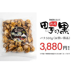 TAKKO nɂɂ cq̍ o 500g X yY cq ɂɂ XY  cqɂɂ nɂɂ jjN XYɂɂ yjjN nɂɂ XjjN