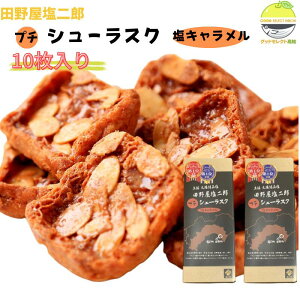 XN c쉮Y v` V[XN 10 2 L V A[h Mtg 蕨