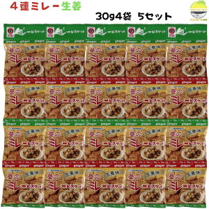 ~[rXPbg I 30g 4A 5 쑺