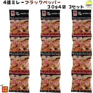 ~[rXPbg 쑺 4A ubNybp[ 3 1000~|bL