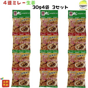 ~[rXPbg I 30g×4A×3 쑺 1000~|bL