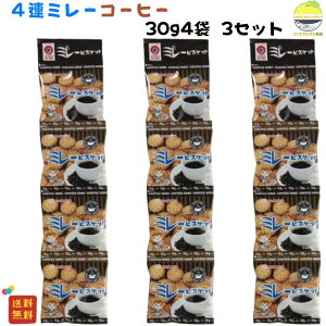 ~[rXPbg 쑺 4A R[q[  3 1000~|bL