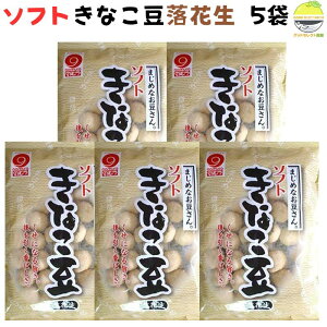 Ȃ \tg^Cv Ԑgp 125g 5܃Zbg m 쑺HX َ̓q yY