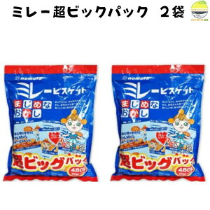 ~[ rXPbg rbOpbN 480g 2 ƒp  yY