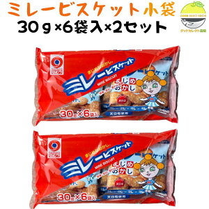 ~[rXPbg  30g×6×2 ̖ Y Vgp y̐lCَq