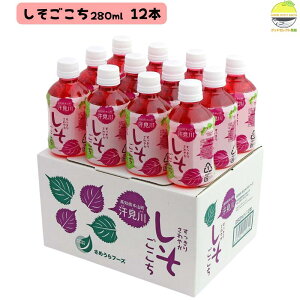  280ml 12{ mY Ԃ  gp Y Xg[g hW[X ݂₷ F^Cv