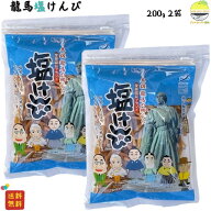 塩けんぴ 南国製菓 高知 200g×2袋 チャック付き 龍馬塩けんぴ 1000円ポッキリ