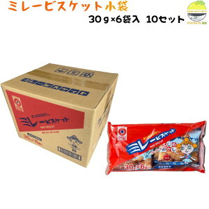 ~[rXPbg  30g×6×10 mY Vgp 쑺 P[X EƖpEMtg