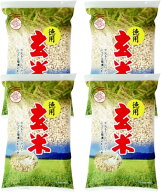 徳用玄米 玄米ぽん／玄米パフ 240g×4 シリアル 米菓 高知 四万十 国産米100％ 砂糖と塩のみ 3分づき 軽…