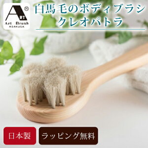 󑐃A[guV {fBuV n NIpg ɗD _炩 w }bT[W wuV ̐