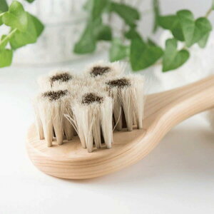 󑐃A[guV {fBuV n A_ Cu ɗD _炩 d w }bT[W wuV ̐