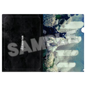 yzchitocerium NAt@C E ObhX}CJpj[ A4TCYyԌ̔z