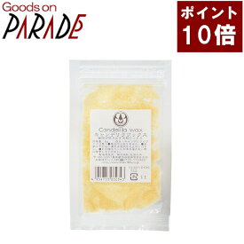 ポイント10倍 生活の木 キャンデリラ WAX 50g