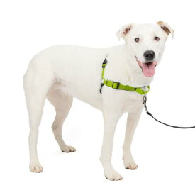 PetSafe（ペットセーフ） デラックス イージーウォークハーネス 犬用 引っ張り防止 散歩 トレーニング用ハーネス