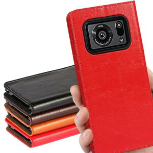 AQUOS R6 P[X 蒠^ AQUOSr6 SoftBank SH-51B docomo SH-M22 A101SH SIMt[ SΉ V[v ANIX R6 Jo[ SH51B SHM22 蒠 ANIXR6 X}zP[X gуJo[ case Kp iCoverCase }OlbgȂ g