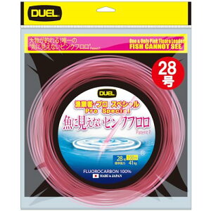 fG(DUEL)ɌȂsNt ƎҁEvXyV 100m 28 JZ