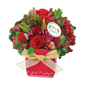 TI(SANRIO) NX}XJ[h bZ[WJ[h NX}X t[AWg JX 28-5 240478