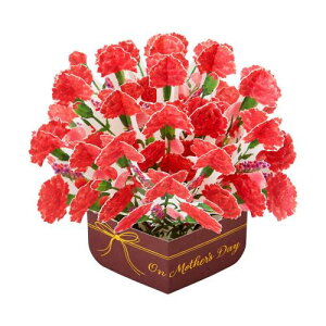 �T�����I(SANRIO) �O���|�e�B���O�J�|�h ���b�Z�[�W�J�[�h ��̓� ���� ���A���J�[�l�[�V���� JMD 9-5 613924