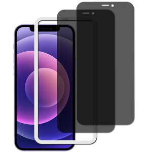 ���E�̎��� �̂������h�~ �Ή� iPhone 12 mini �p�� �`�����h�~ �K���X�t�B���� �����K���X�� �d�x9H �������� �ی�t�B����2 ��+ �K�C�h�g�t��