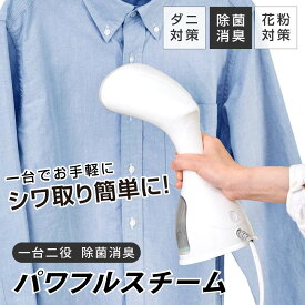 【最大60％OFF★まとめ買いクーポンで】スチームアイロン ハンガーにかけたまま 衣類スチーマー 簡単ハンディーアイロン 除菌 脱臭 軽量 時短 コンパクト おしゃれ スーツ ワイシャツ