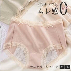 サニタリーショーツ 生理用 生理用ショーツ レディース 可愛い 生理 ショーツ 生理用パンツ 漏れない パンツ ハイウェスト かわいい 安心 おしゃれ 昼 夜 通気性 蒸れない 伸縮 くすみカラー XLサイズ 大きめ 912B