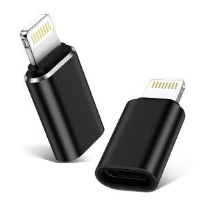 GAEF Type C to Lightning ϊA_v^ (2Zbg) PD[d f[^] USB-C iPhone ϊRlN^ A~ yʏ^ ^CvC 烉CgjO ϊRlN^[ iOSΉ iPhone 14 13 12 11 Pro Max, SE3,i
